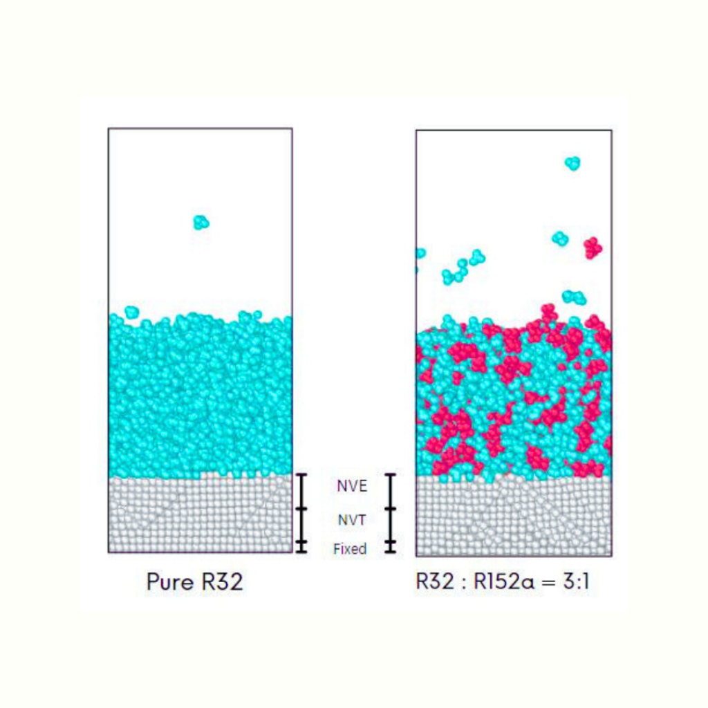 Molecular Dynamics Study